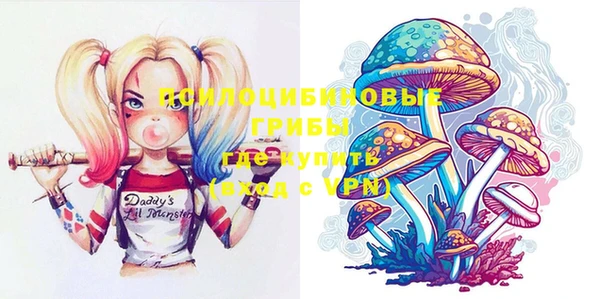 PSILOCYBIN Надым