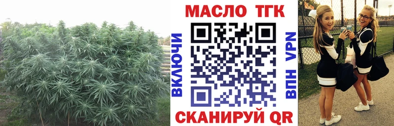 Купить закладки Троицк Дистиллят ТГК гашишное масло