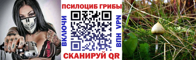 Купить закладки  Троицк  Галлюциногенные грибы Psilocybine cubensis 